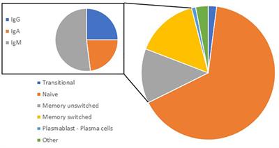 IgA-producing B cells in lung homeostasis and disease